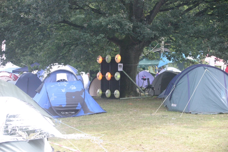 many tents and trees set up in the grass