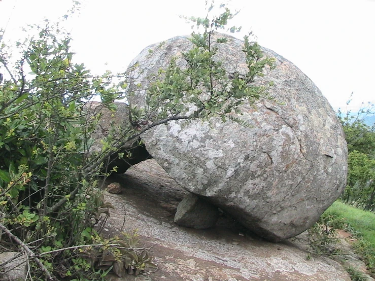 a large boulder that looks like an alien is lying down