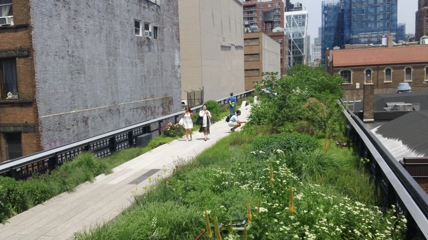 a high rise has a grassy roof, and two people walk up the hill