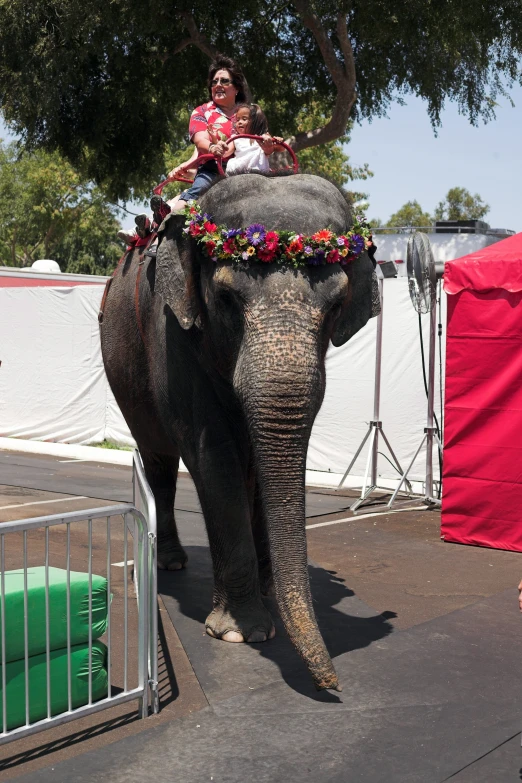 the woman and little girl are on top of the elephant