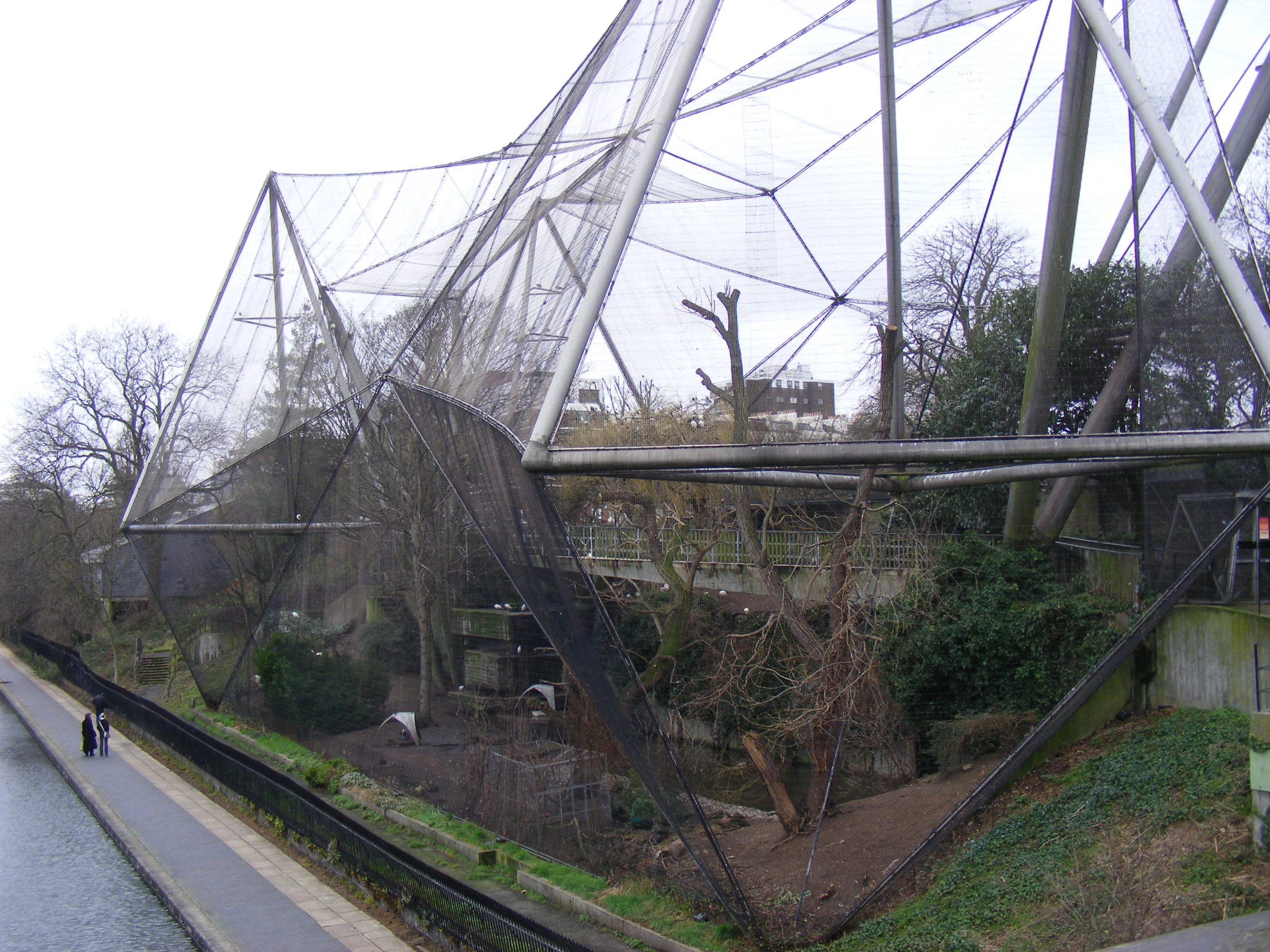 an abandoned structure stands alone in an overgrown neighborhood