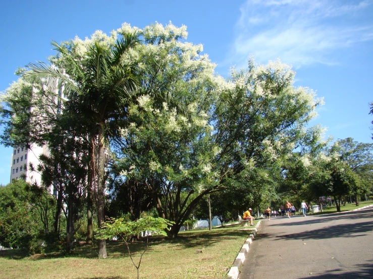 people walking down the side of a road