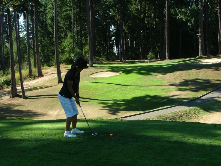 a person standing on a golf course hitting a ball