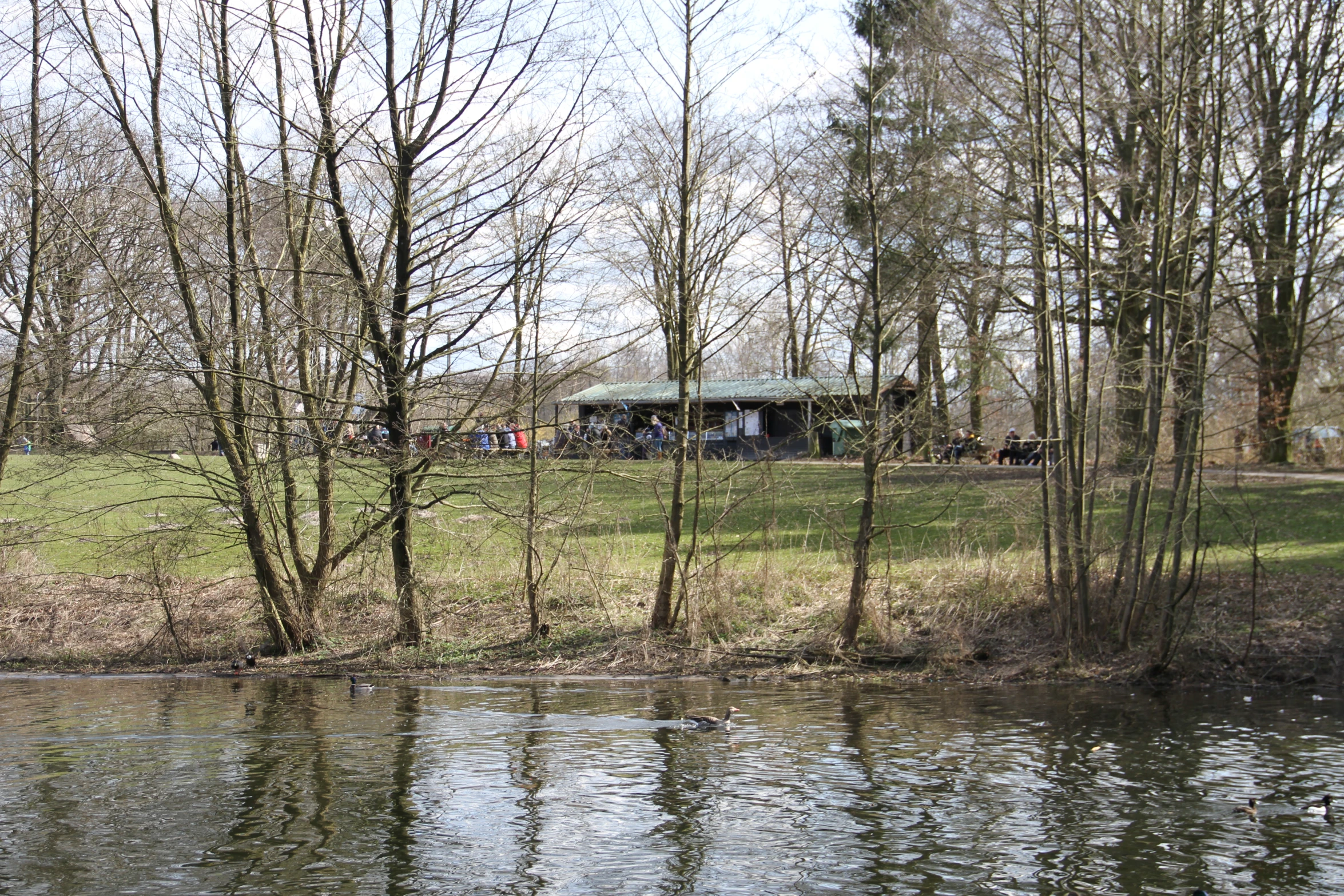 a small lake is on the shore and trees are in front of it