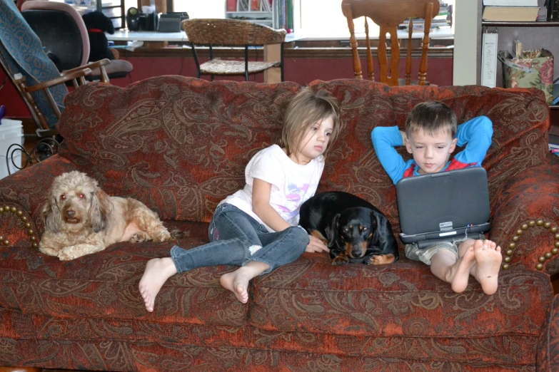 three s on a couch playing with laptops with a dog