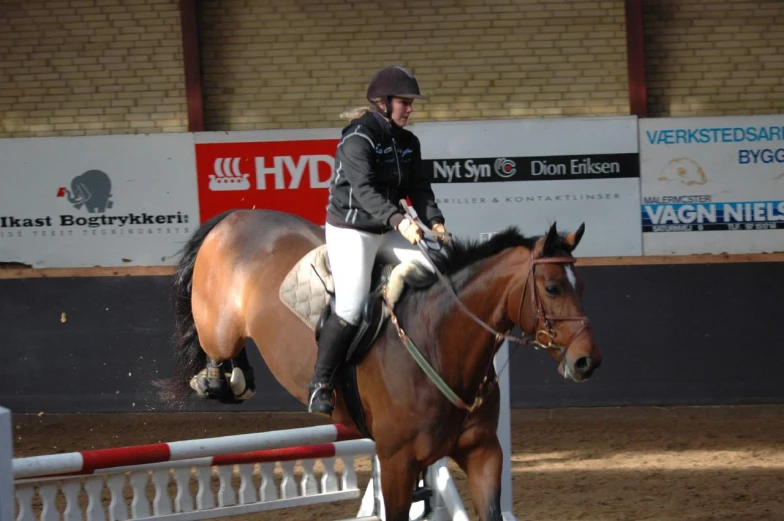 a horse and rider jumping over a barrier