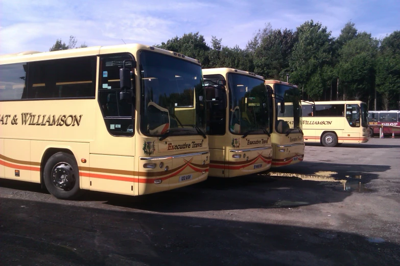 three buses parked next to each other in a parking lot