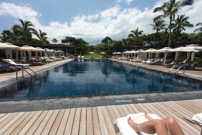 an outdoor swimming pool with lounge chairs and palm trees