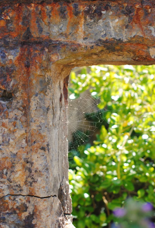 an old stone wall and a window with the green foliage behind it