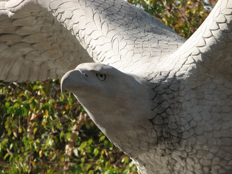 a close - up view of a statue that looks like an eagle