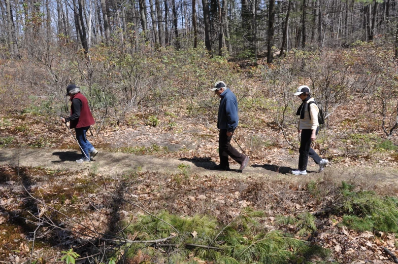 a group of four people walking on the edge of a trail in the woods