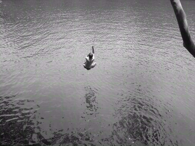 a single bird standing in the water of a lake