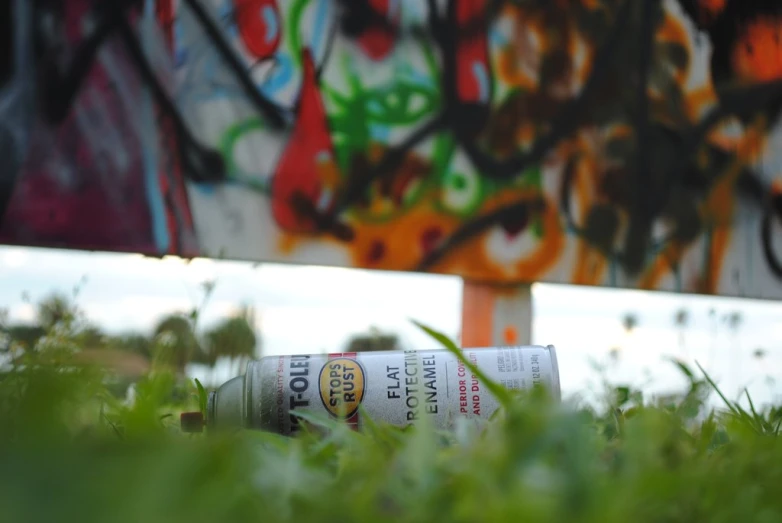 an empty, can of corona beer sitting on a patch of grass