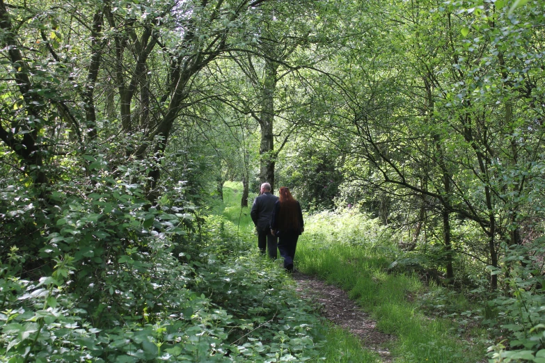 a couple of people walking down a path in the woods