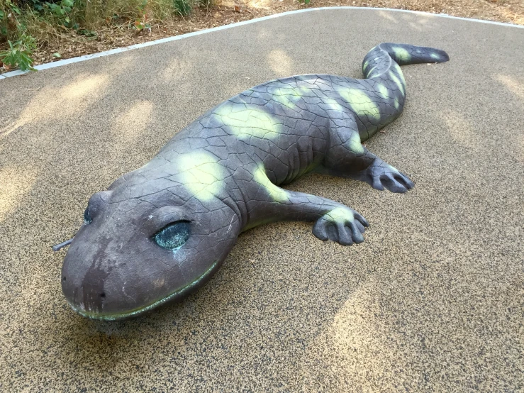 a black and white animal laying on top of a sidewalk