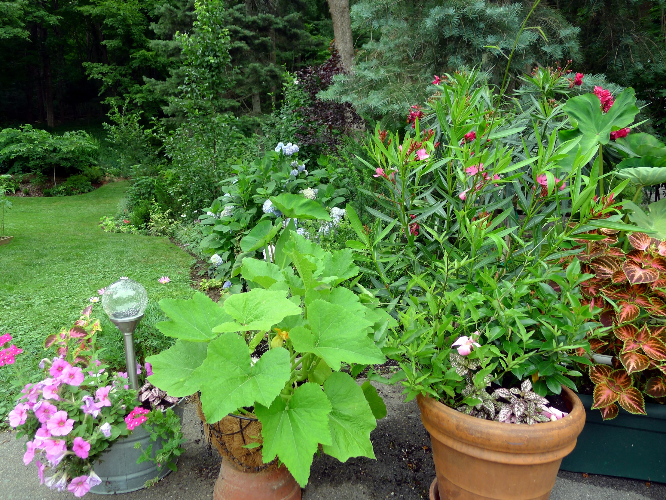 there are many flower pots on the porch