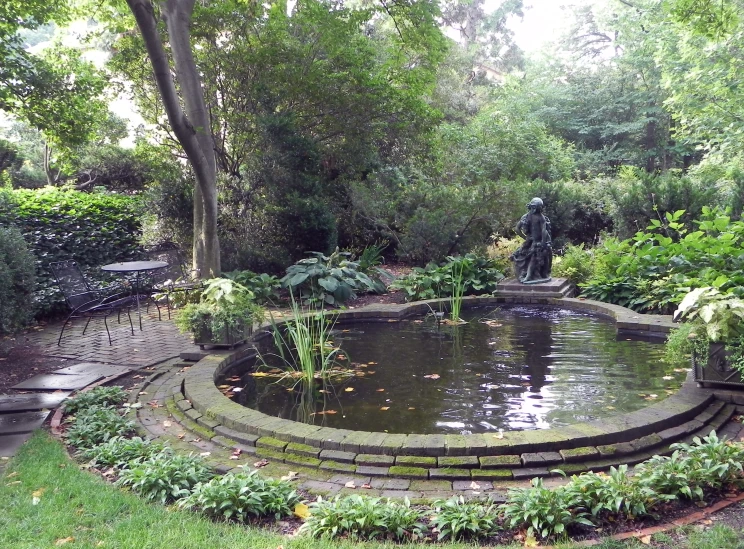 a garden with a pond in the middle of it