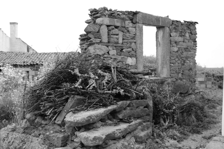 a black and white po of a building with plants growing out of it