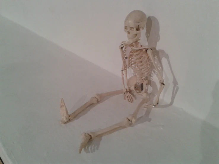 a human skeleton is sitting on one leg and the other leg is in the air