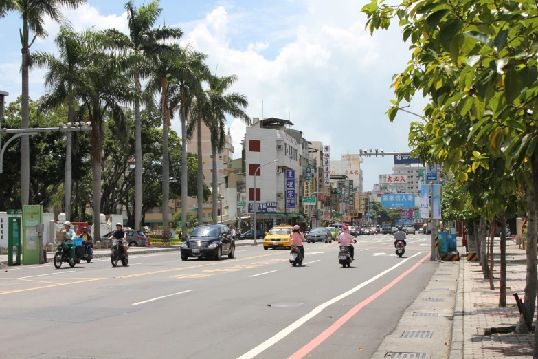 motorcyclists traveling down a street next to palm trees