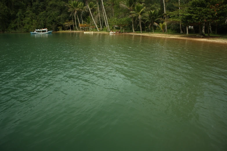 a boat is seen on a small river