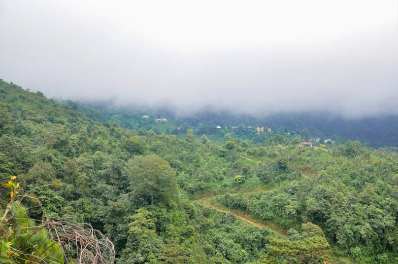 a view of some trees, and houses on a mountain