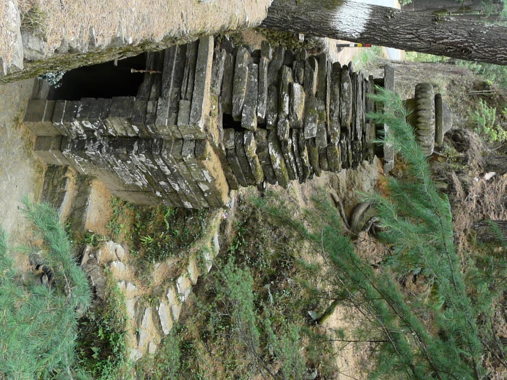 the stairs are made from logs on the ground