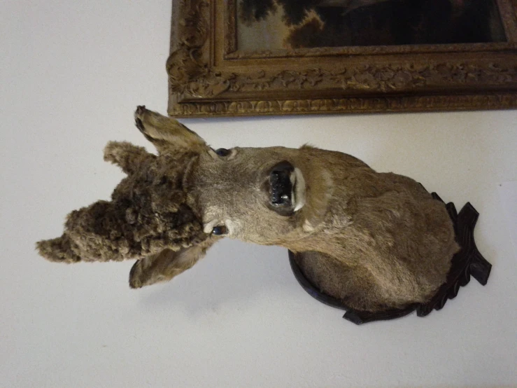 a fake deer head on a wall next to a framed picture