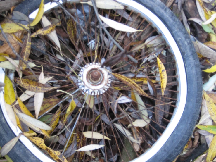 a close up of a bicycle wheel laying in leaves