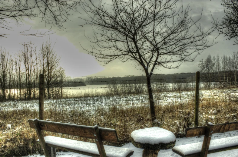 two wooden benches covered in snow in the middle of the forest