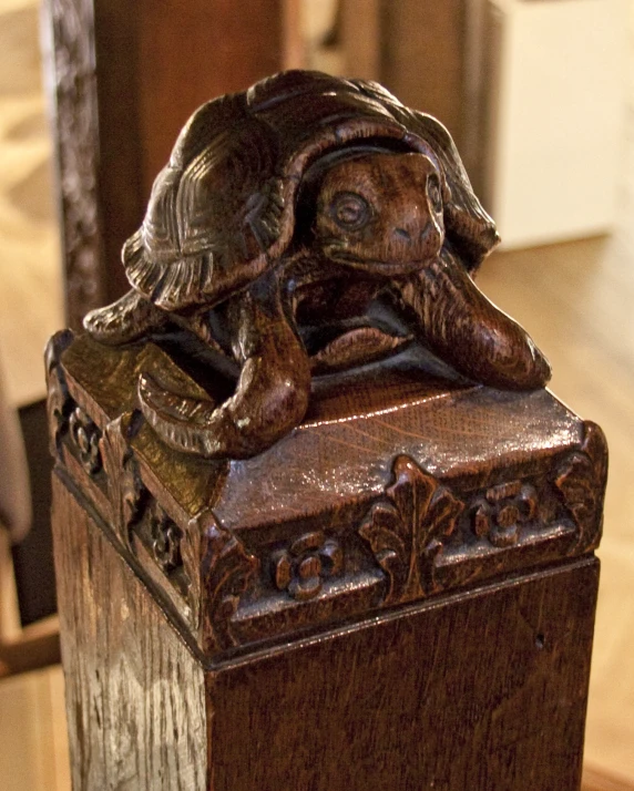 an antique tortoise shell on top of a wooden box