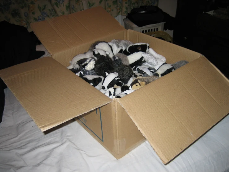 a pile of stuffed animals in a cardboard box