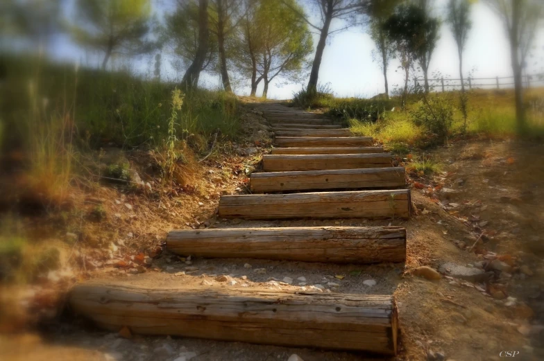 some very pretty wood steps going up the hill