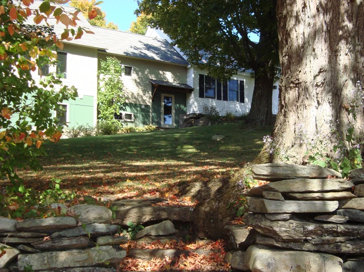 a rock fence around a tree is shown