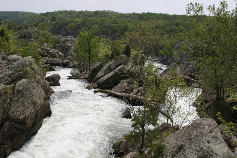 a view of a body of water surrounded by trees