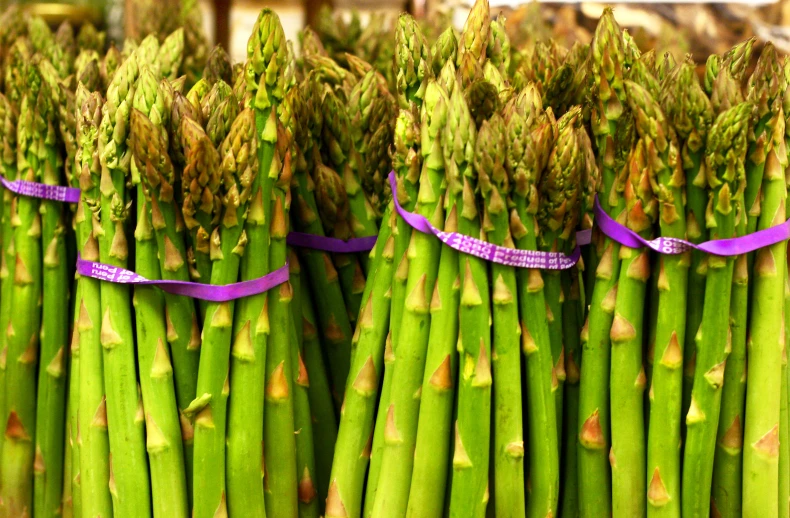 asparagus in purple and green at an outdoor market