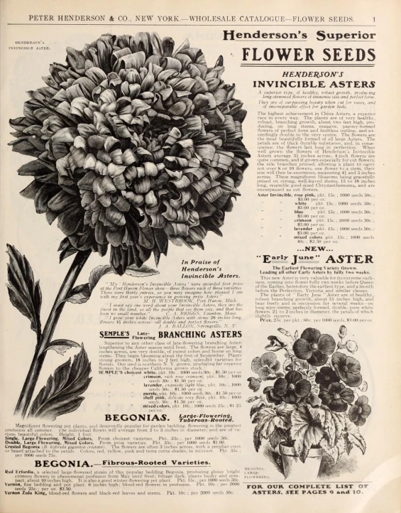 an old plant guide featuring flowers from a garden