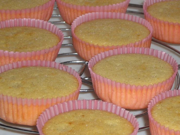 several cupcakes sit in pink lined up on a plate