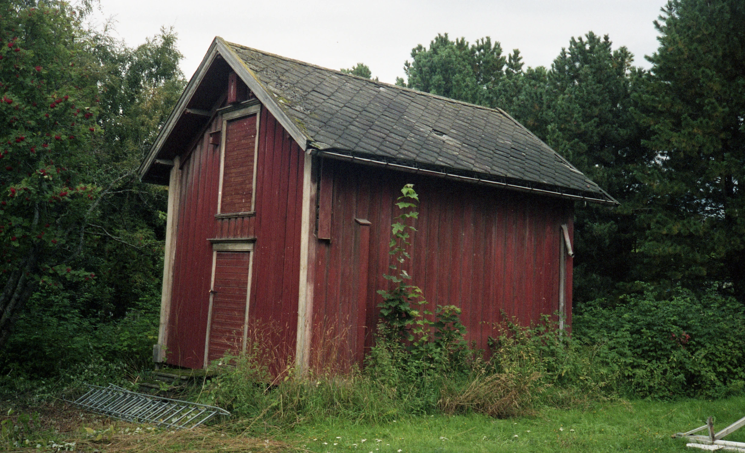 a small red shed surrounded by trees and bushes