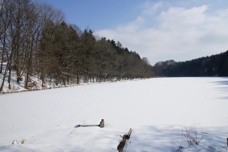 a small wooded area in a snow covered field