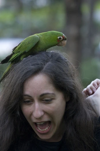 a woman is holding up a parrot on top of her head