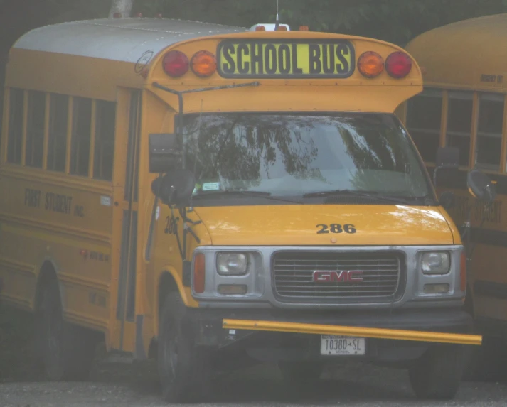 the school bus is yellow in color