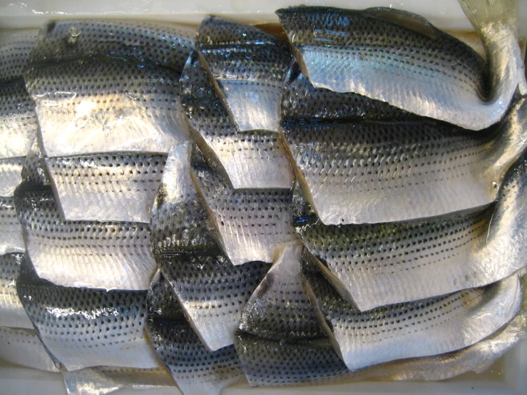 a large amount of fish sitting in a plastic container