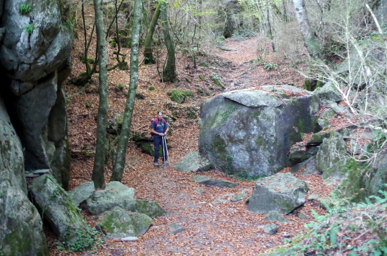 a man riding his bike in the woods