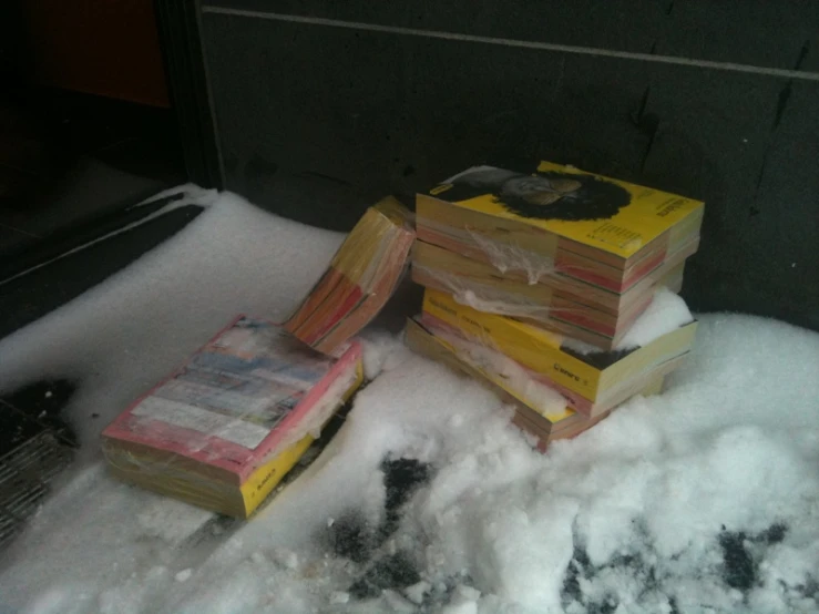 books with newspaper covers sit in the snow