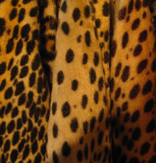 the backside and tail of a cheetah, a large animal in the wild