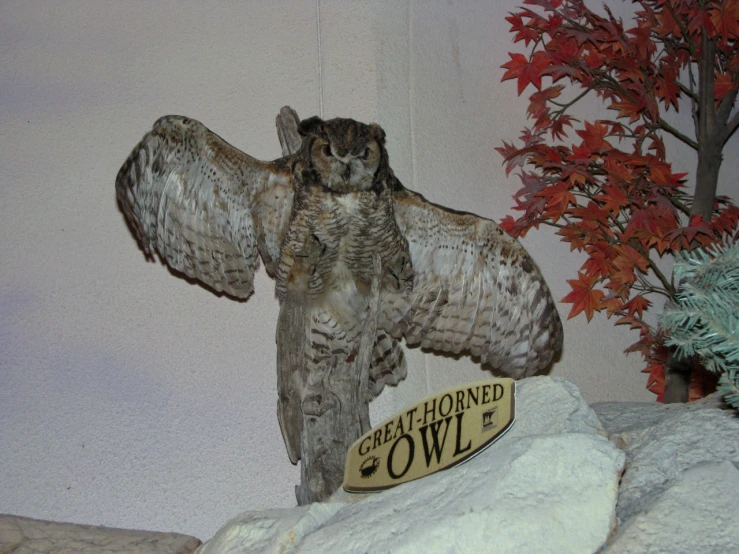 an owl statue next to a tree, on top of a rock