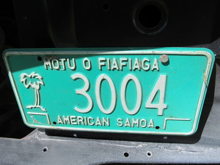 a license plate is displayed on a car