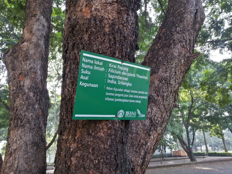 the park sign is on a tree outside