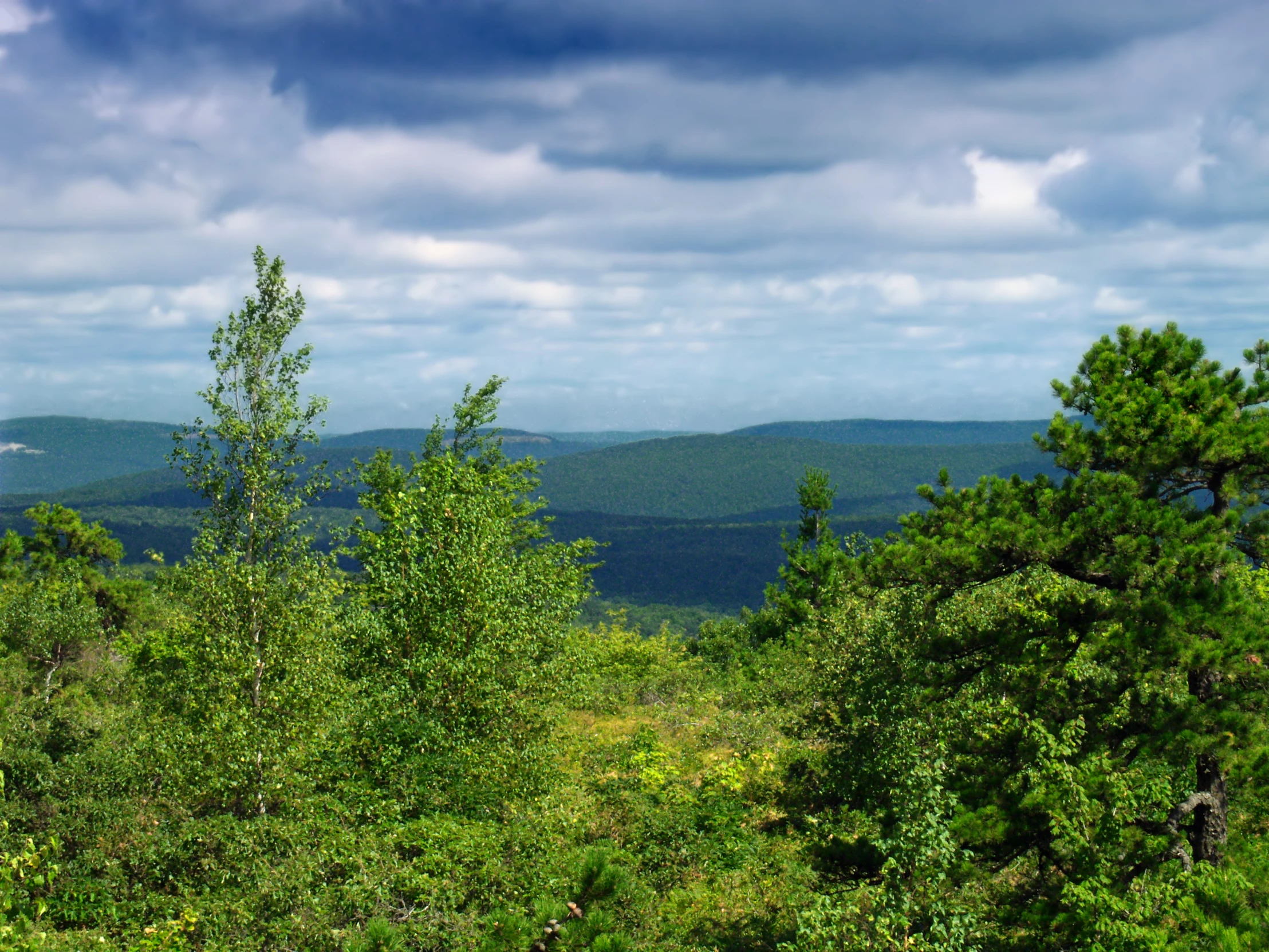 a view from the top of a mountain in a forested area